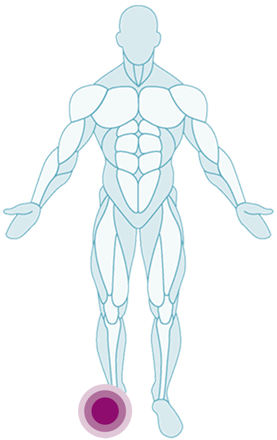 Sprunggelenk